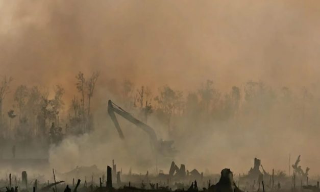 LA ONU ESCRACHÓ A LOS PAÍSES QUE MÁS CONTAMINAN Y ADVIRTIÓ QUE LAS EMISIONES AUMENTAN DE FORMA ALARMANTE
