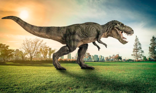 ¿Cuántos millones de Tyrannosaurus rex habitaron la Tierra?