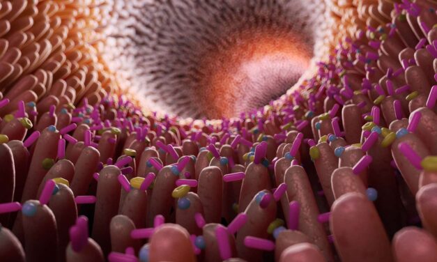 EL BOOM DEL MICROBIOTA Y LA REVALORIZACIÓN DE LOS ALIMENTOS FERMENTADOS Y PROBIÓTICOS