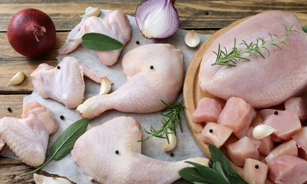 LA CARNE BLANCA APORTARÍA EL MISMO NIVEL DE COLESTEROL “MALO” QUE LA ROJA