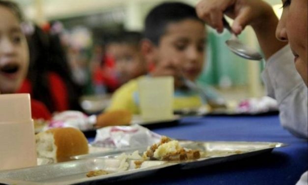 ¿LOS PROBLEMAS DE NUTRICION INFANTIL EN ARGENTINA SE SOLUCIONAN CON LA NUEVA LEY FOP?