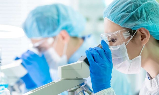 DESCUBREN QUE LOS ÓRGANOS DEL CUERPO ENVEJECEN A DISTINTOS RITMOS