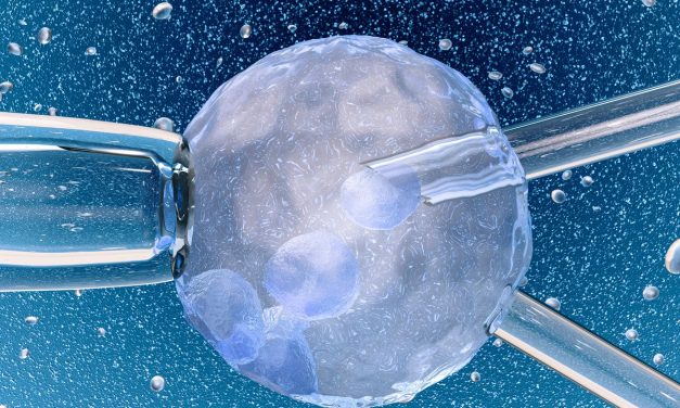 SE CONCRETÓ EL PRIMER EMBARAZO DE LATAM CON UN EMBRIÓN SELECCIONADO CON INTELIGENCIA ARTIFICIAL