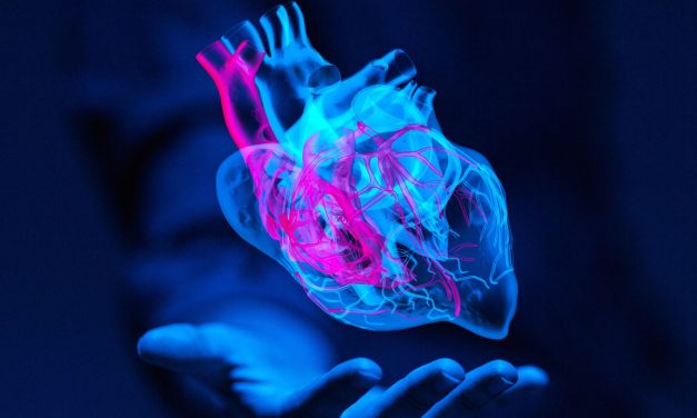 La deficiencia de vitamina B12 aumenta el riesgo de enfermedad cardiovascular