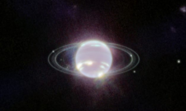 James Webb: el telescopio de la NASA captó la imagen más nítida de Neptuno y sus anillos en décadas