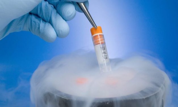 Vitrificación de óvulos: lo que hay que saber.