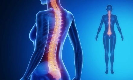 Identificaron las neuronas que hacen posible volver a caminar en caso de lesiones de la médula espinal