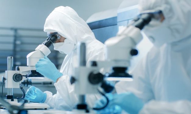 Células madre: avances y mitos