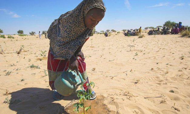 Buena parte del planeta sufrió sequías más allá de lo normal en 2021