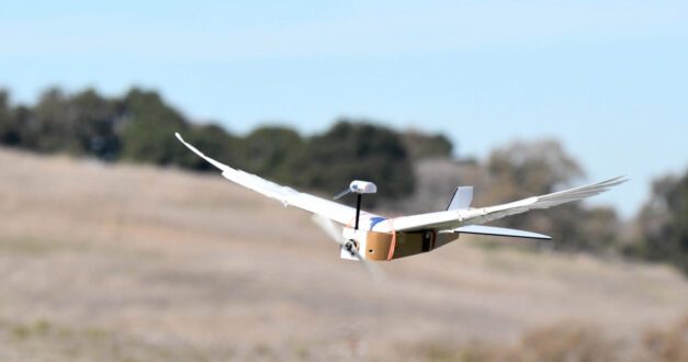 Robot capaz de volar batiendo las alas y aterrizar en una rama de árbol