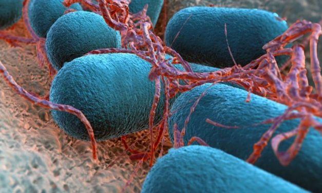 LEPRA: ANUALMENTE SE NOTIFICAN EN EL PAÍS ALREDEDOR DE 300 NUEVOS CASOS