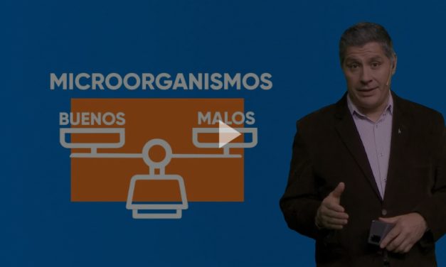 Consejos para incorporar probióticos a nuestro organismo y mejorar nuestra salud
