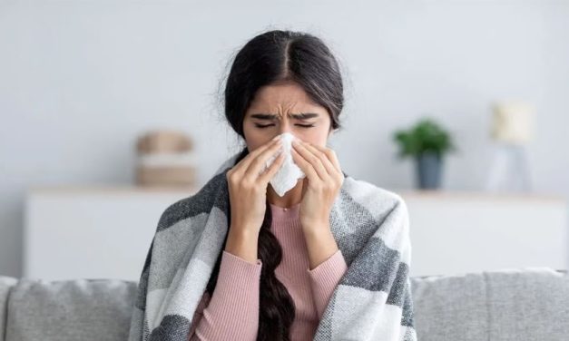 Cuatro recomendaciones para evitar en otoño y invierno la epidemia de la gripe y otras enfermedades