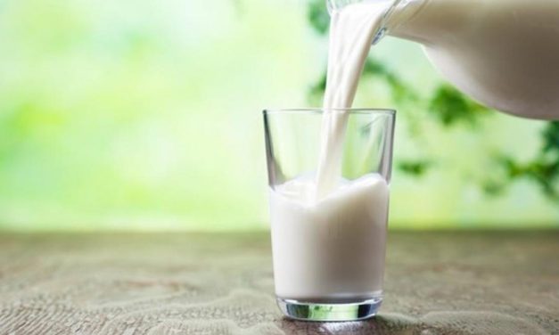 Mastellone Hnos. se suma, como todos los años, a la celebración por el Día Mundial de la Leche.