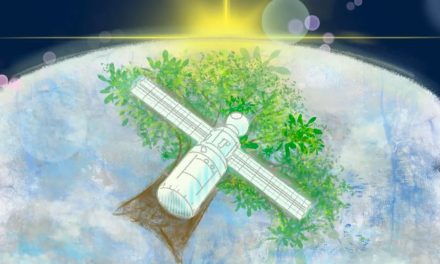 Satélites de madera, el ingenio de investigadores japoneses para frenar la contaminación orbital