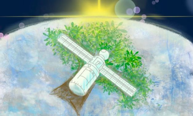 Satélites de madera, el ingenio de investigadores japoneses para frenar la contaminación orbital