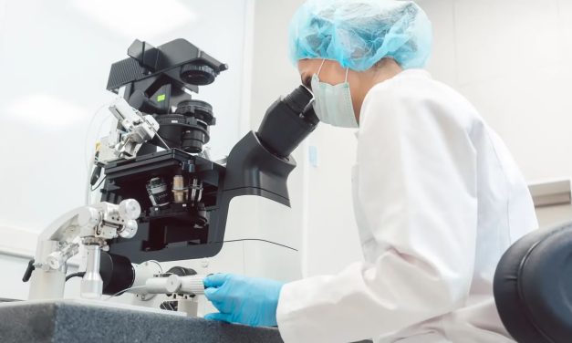 Descubrieron una de las claves para diferenciar el envejecimiento natural del patológico