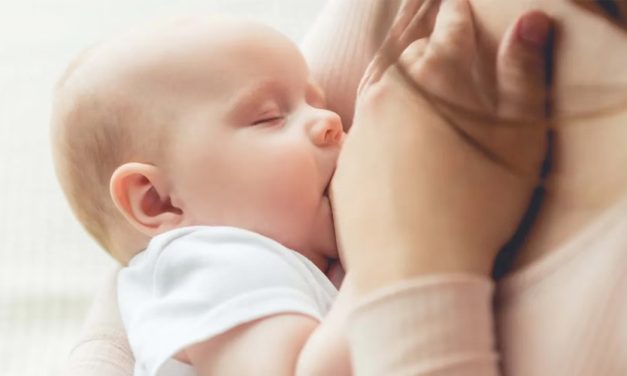 Semana de la Lactancia Materna: la importancia de cuidar la alimentación de las madres