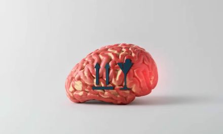 Cuánto tarda el organismo en reparar el daño cerebral causado por el exceso de alcohol