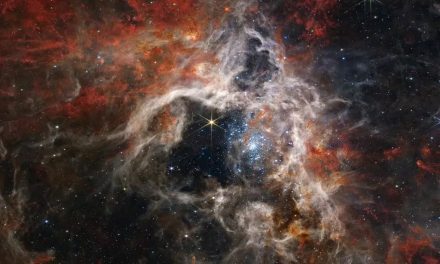 Las más asombrosas fotos enviadas por el telescopio espacial James Webb en 2023