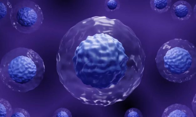 Crean “miniórganos” a partir de células madre extraídas durante el embarazo