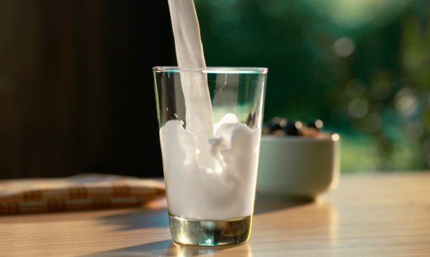 Nutrición en un vaso: la importancia del consumo de Leche Fresca para una vida saludable