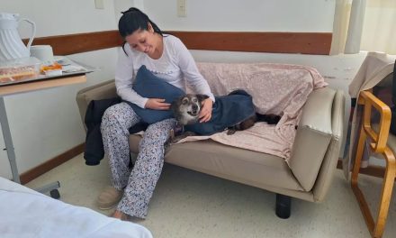 Los increíbles beneficios físicos y emocionales de las visitas de mascotas a pacientes internados