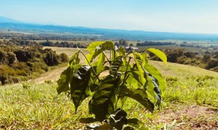 CABRALES Y TUCUMÁN FIRMAN UN CONVENIO HISTÓRICO PARA LA INDUSTRIA CAFETERA NACIONAL