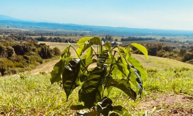 CABRALES Y TUCUMÁN FIRMAN UN CONVENIO HISTÓRICO PARA LA INDUSTRIA CAFETERA NACIONAL