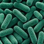 Encuentran una bacteria en el espacio que es desconocida en la Tierra