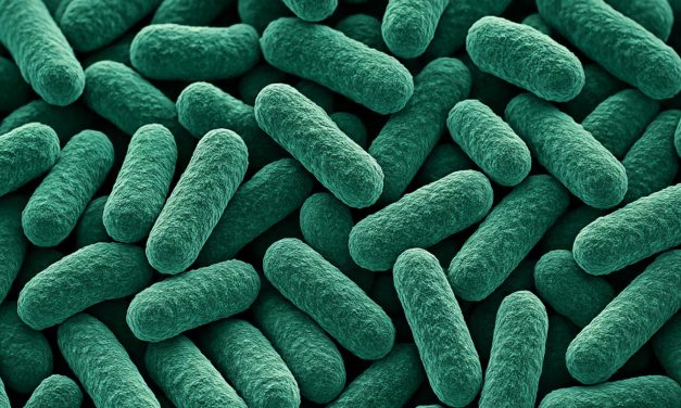 Encuentran una bacteria en el espacio que es desconocida en la Tierra
