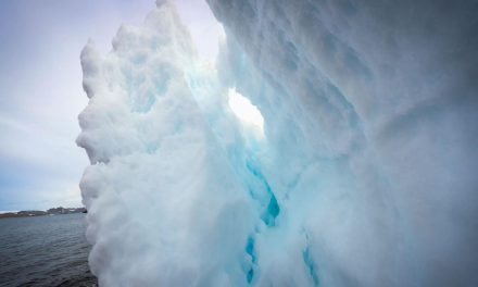 Detectaron señales inusuales bajo el hielo de la Antártida: la ciencia aún no encuentra una explicación