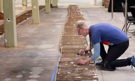 Perforaron el garaje de un museo para una obra de gas y encontraron un dinosaurio de 70 millones de años