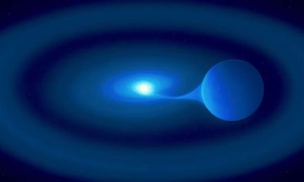 Fratricidio espacial: una estrella hambrienta devora a su gemela y podría generar una explosión masiva
