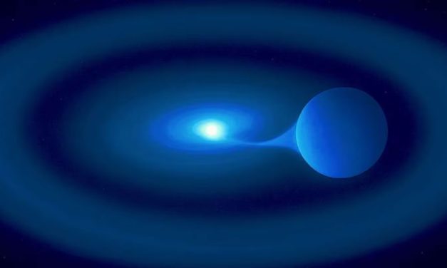 Fratricidio espacial: una estrella hambrienta devora a su gemela y podría generar una explosión masiva