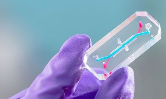 El extravagante plan de la NASA: enviará tejido humano a la Luna para anticipar daños en los astronautas