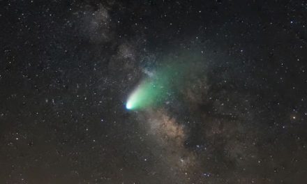Cometa Lemmon: cómo y cuándo ver este fenómeno que se repite cada 1000 años