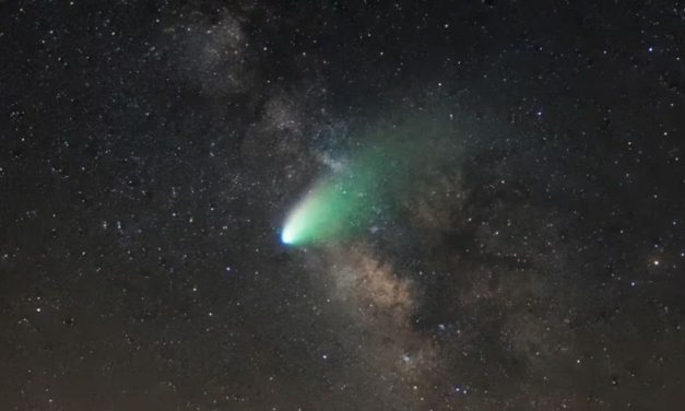 Cometa Lemmon: cómo y cuándo ver este fenómeno que se repite cada 1000 años