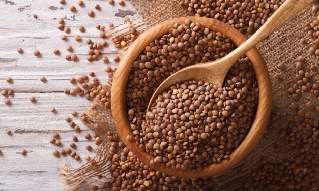 Lentejas, una legumbre pequeña y sin pretensiones, pero con un gran aporte nutricional