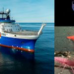 Una nueva misión del Conicet investigará zonas nunca vistas del Mar Argentino: cómo seguirla en vivo