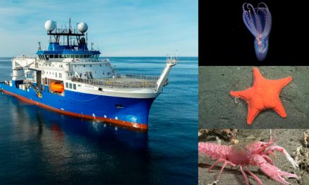 Una nueva misión del Conicet investigará zonas nunca vistas del Mar Argentino: cómo seguirla en vivo