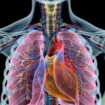 El cáncer de pulmón, primera causa de muerte oncológica en el país, podría aumentar casi un 80% para 2050