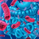 Consejos para evitar que la microbiota “sufra” antes, durante y después de las Fiestas