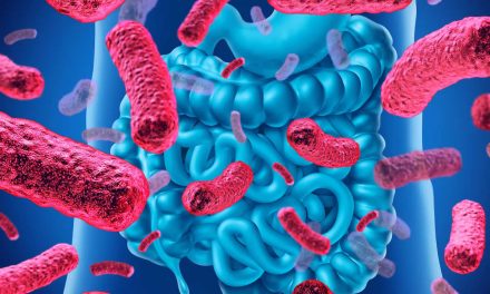 Consejos para evitar que la microbiota “sufra” antes, durante y después de las Fiestas