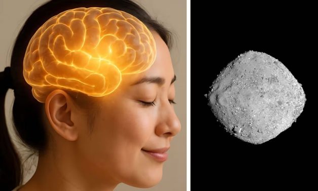 Un asteroide potencialmente peligroso tendría en su interior un nutriente relacionado con la felicidad