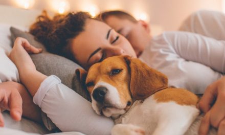 Día Mundial de Amar a tu Mascota: por qué se celebra cada 20 de febrero y tres ideas para tener un día especial junto a la tuya