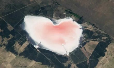 Qué es la figura con forma de corazón rosa que encontró la NASA en la Argentina
