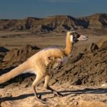 Científicos descubrieron un minidinosaurio en la Patagonia: pesaba menos de un kilo, pero era rápido y letal