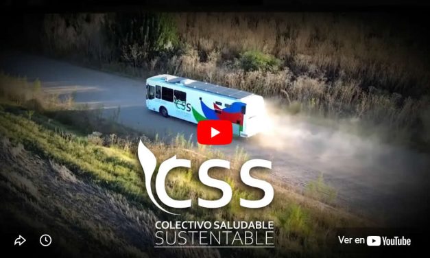 Colectivo Saludable Sustentable: una ruta, miles de historias…