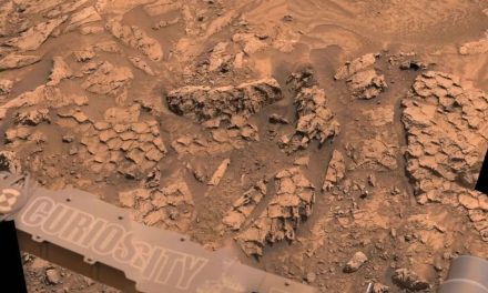 La NASA encontró escamas en la superficie de Marte: “Una textura increíble”El hallazgo fue realizado por Curiosity, un robot de exploración que llegó al planeta rojo en el año 2012.